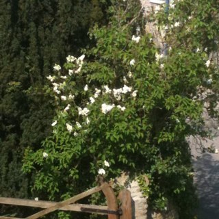 muminone1998's profile picture. Busy mum of two, juggling life as it goes by.  Managed not to drop any balls yet :-)