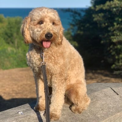 MS_Anderson85's profile picture. Wisconsin Sports/Music/Finance/Politics (regrettably)