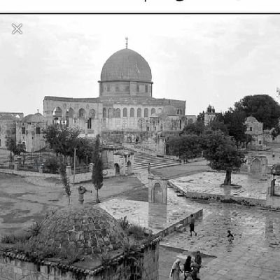 عبدالله ابوجابر 
فلسطيني بنبض اردني بدم عربي
عاشة القدس حره عربيه من النهر الى البحر