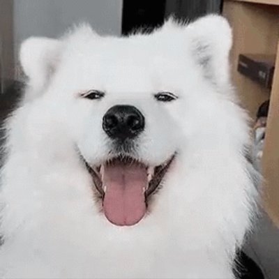 xl3ehind's profile picture. 