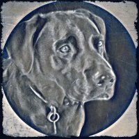 Barry Briggs (@barrybriggs2) 's Twitter Profile