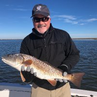 Robin Kral (@robinkral1) 's Twitter Profile