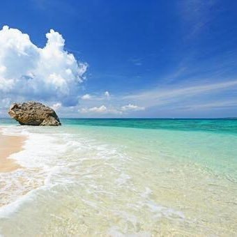 nHj3cFtFL4QEJlT's profile picture. お願いします！