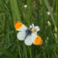 Northern Corridor Community Volunteers ๐ณ๐ฒ (@northerncorrid1) 's Twitter Profile Photo Northern Corridor Community Volunteers ๐ณ๐ฒ (@northerncorrid1) 's Twitter Profile Photo