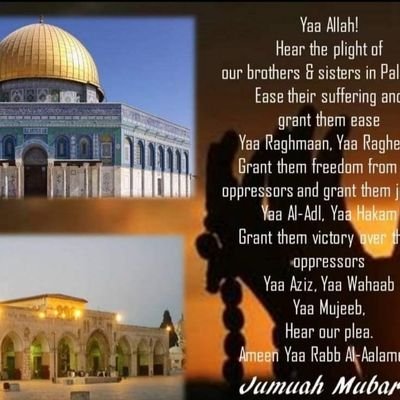 MAshfaq86's profile picture. Business Man
Transport and Property Development