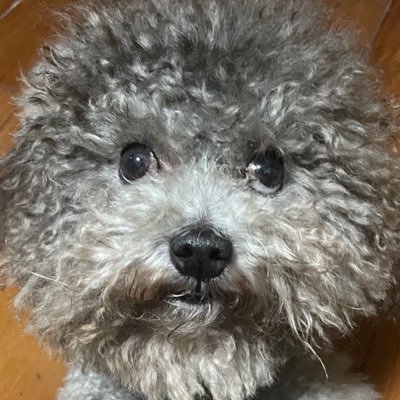 fotrue2's profile picture. 