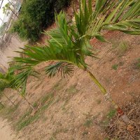 SHAMSA ABUBAKAR (@shamsaabubakar2) 's Twitter Profile