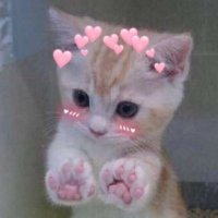 Ryuujiperez (@ryuujiperez) 's Twitter Profile