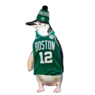 overly confident celtics fan #bleedgreen he/him