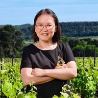 Chateau la Bastide, Crus Corbieres (@11200chlb) 's Twitter Profile