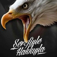 Elfish 🦅 (@elfish_bjk) 's Twitter Profile Photo Elfish 🦅 (@elfish_bjk) 's Twitter Profile Photo