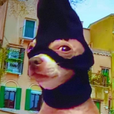 syasyawhoo's profile picture. SBYJTHBGHK