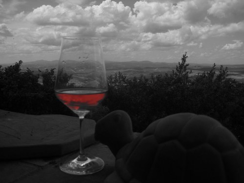 FandBTraining's profile picture. Lecturer in F&B Studies, DipWSET, Certified Sommelier CMS. Interests: wine, food, cocktails.  Expert RS WorldSkills Ireland 🇮🇪 . loves skiing 🎿