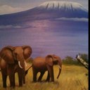 Steven Harvell - @TheSDawg - Twitter