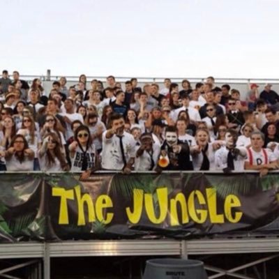 The Jungle