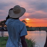 Sinistre 🌵 (@nelamzo) 's Twitter Profile