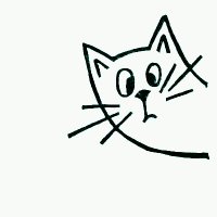 C@t🐱🐾(@cat_filizcat) 's Twitter Profile Photo
