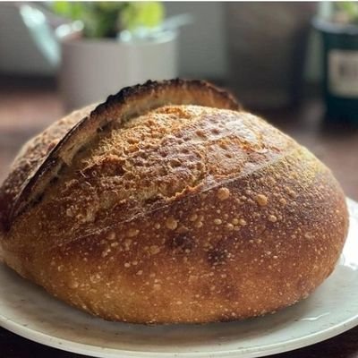 He/him | Leftist who sometimes bakes bread