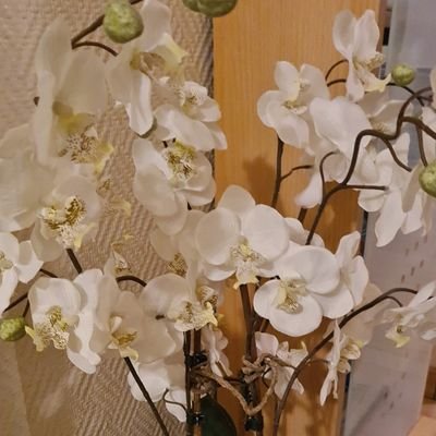 Factbaseopinion's profile picture. Mensch sein, Mensch bleiben, Diener Gottes auf Erden, Sales Manager, Vater, Bürgerschaftl. Engagement für Bildung, Menschenrechte, Demokratie und Solidarität