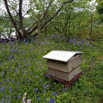 Lifelong #UnpaidCarer. Historian. Beekeeper🐝.Environmental Archaeologist.#SciComms.Charity Fundraiser. @brains4dementia.Trustee @alzheimerssoc.All views my own