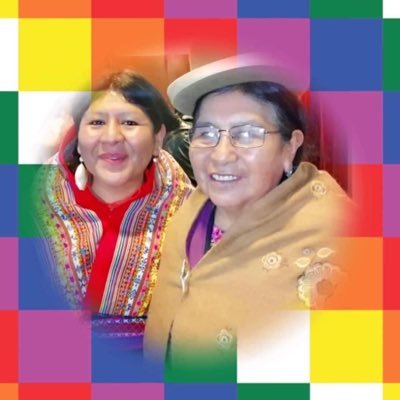Aymara, educadora popular, poeta y parte del Feminismo Comunitario Antirracista Anticolonial Jallalla las warmis y los pueblos que luchan!!