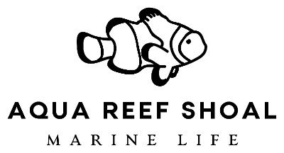 2021 Family adventure into the world of reef aquariums and salt water fish. Vibrant colours and fantastic marine life. #Waterbox #Sensory