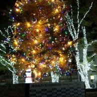 すうう (@ch2wneeclqd33ro) 's Twitter Profile