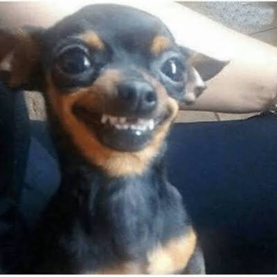 eu tentei não shippar mas não teve como 😩
.
.
✨🥁🦋🎮