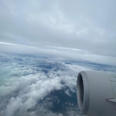 RobertCern2's profile picture. 