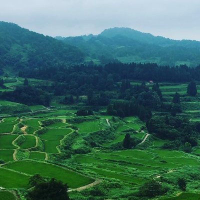 akanezora's profile picture. 新潟出身、京都のWEBプランナー・ディレクター。 中小企業向けブランディング・ファシリテーション・事業開発・商品企画・Web戦略・運用サポート 日本史 日本酒 競馬歴30年https://t.co/QWdrWXDciz