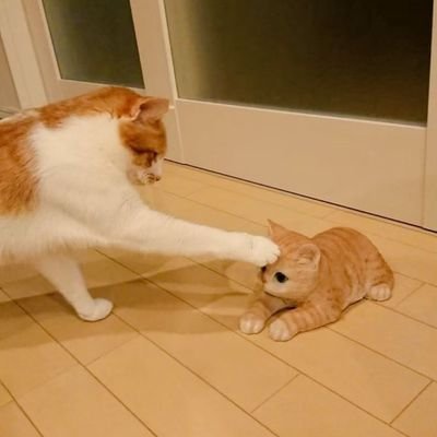 ぷちまる【アルスノ】さんのプロフィール画像