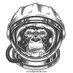 $ilverback🦍$tonkernaut (@time2retire007) Twitter profile photo $ilverback🦍$tonkernaut (@time2retire007) Twitter profile photo