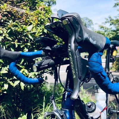 tritarou's profile picture. HONDA BEATって良いよね