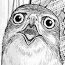 the shocked hawk from that berserk panel