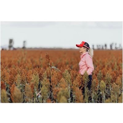 CourtBills's profile picture. 