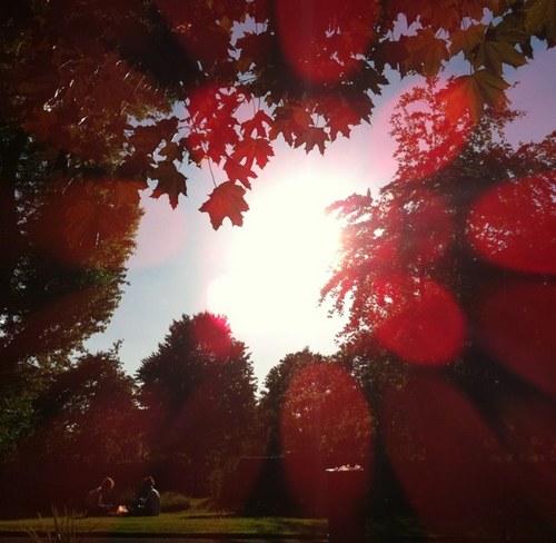 MarkJWeston's profile picture. LastFM: https://t.co/8Rr3pujXbM Whyd: https://t.co/LLK9WuLPO0