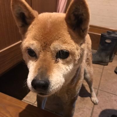 minami50103486's profile picture. 