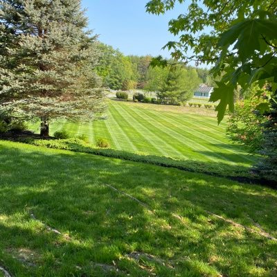 jimgutierrez09's profile picture. 