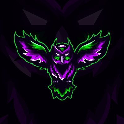 @6Sense_gg. Co-owner,FN player (duo with @PeytonBlanton), and COD player