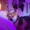 Jorge L - @JorgeLay7 - Twitter