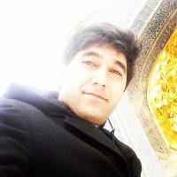 Mohammad Cheraghi (@mohammad6080608) 's Twitter Profile