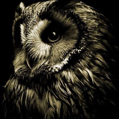 AnTidbits's profile picture. Starting over.  New theme.
Simple life lessons.  Creating something from nothing, is a masterpiece.  Makin' copies, is where the action is.