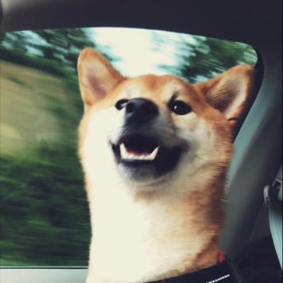 Zazikel's profile picture. ジェイナのちち