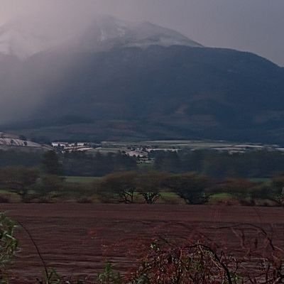 HumbertoVegaA1's profile picture. foreign trade
Ícono de validado por la comunidad Verificado