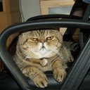 Pauline Drew - @pollyd11 - Twitter