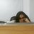 Jahnavi Nidumolu