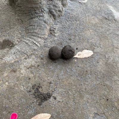 10kLCwTyRfKDvgq's profile picture. 