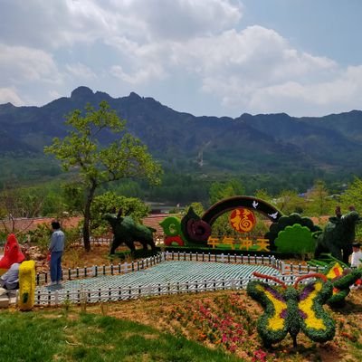 iamwgb001's profile picture. 玩币