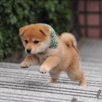 あっくん (@akkun1587) 's Twitter Profile