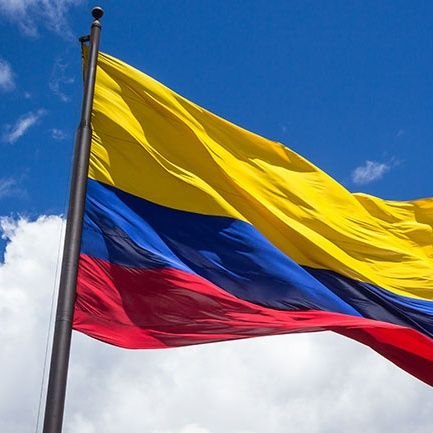 Defensor de la democracia, anticomunista y patriota con honor, si juraste bandera eres de los míos 🇨🇴🇨🇴🇨🇴